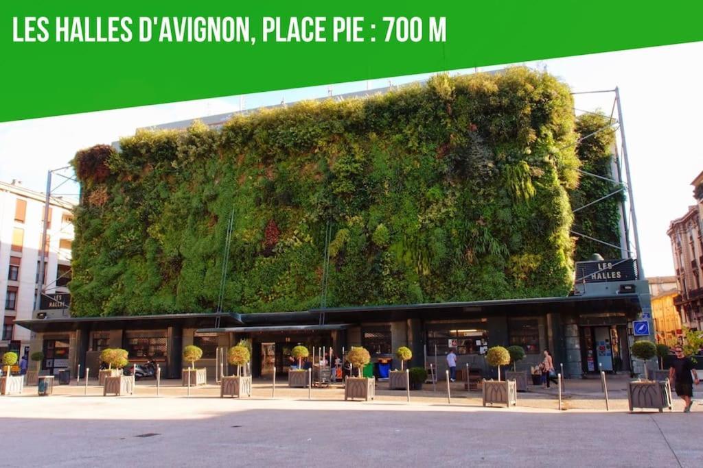 Aux Marches Du Palais - Ac Clim - Spacieux - Terrasse - Wifi Avignon Exterior foto