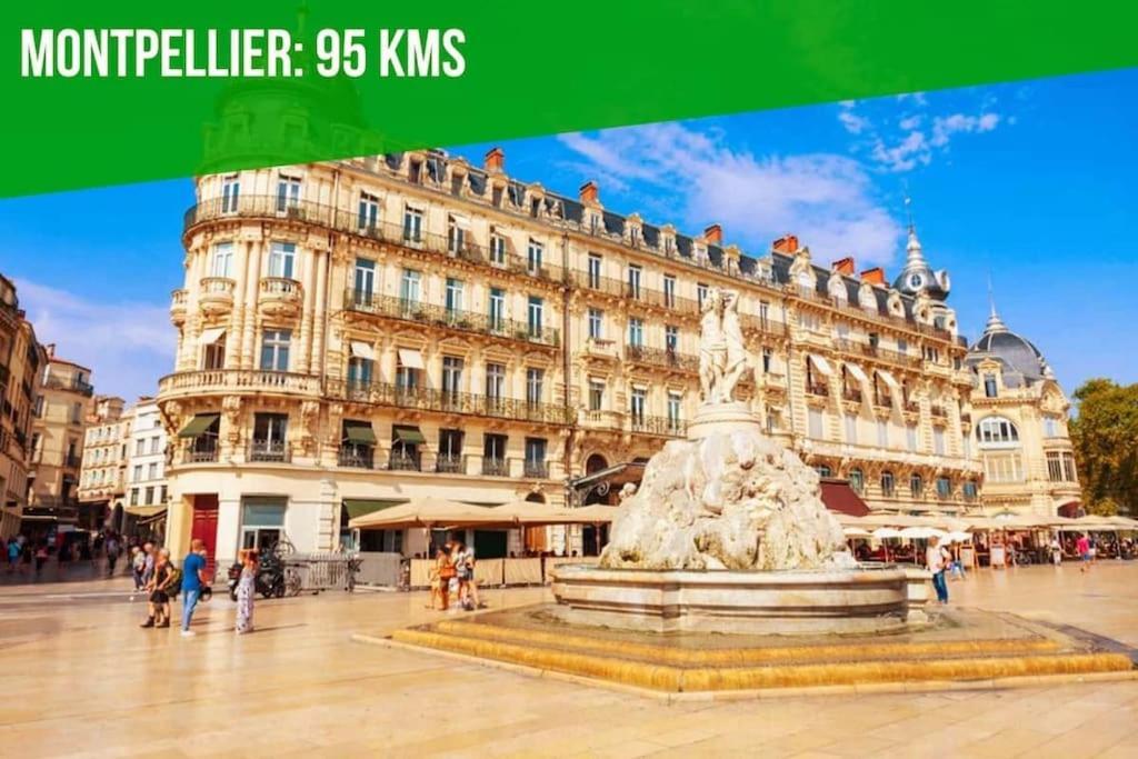 Aux Marches Du Palais - Ac Clim - Spacieux - Terrasse - Wifi Avignon Exterior foto